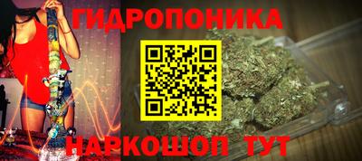 эйфоретик Заводоуковск