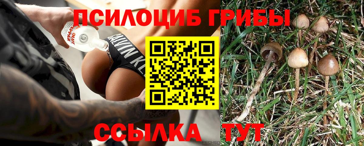 Галлюциногенные грибы прущие грибы  Вход с VPN  Ленинск-Кузнецкий  Галлюциногенные грибы Psilocybe 